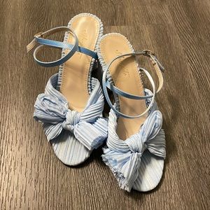 Something blue shoes